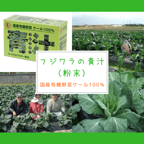 【秋のスーパーセール】フジワラの青汁（粉末）（3g×30袋）2箱セット【国産有機野菜ケール100％】【普通郵便】