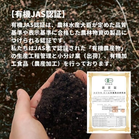 【有機JAS認証】 ケールパウダー 2g×7スティック（14g）