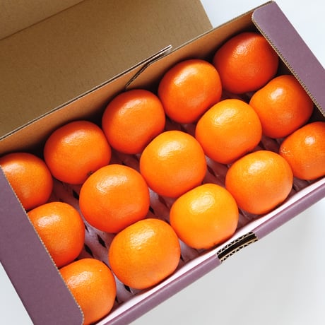 【完売御礼】山口柑橘園さんの国産クレメンティン2kg（佐賀県太良町産）【産直便】【代引不可】