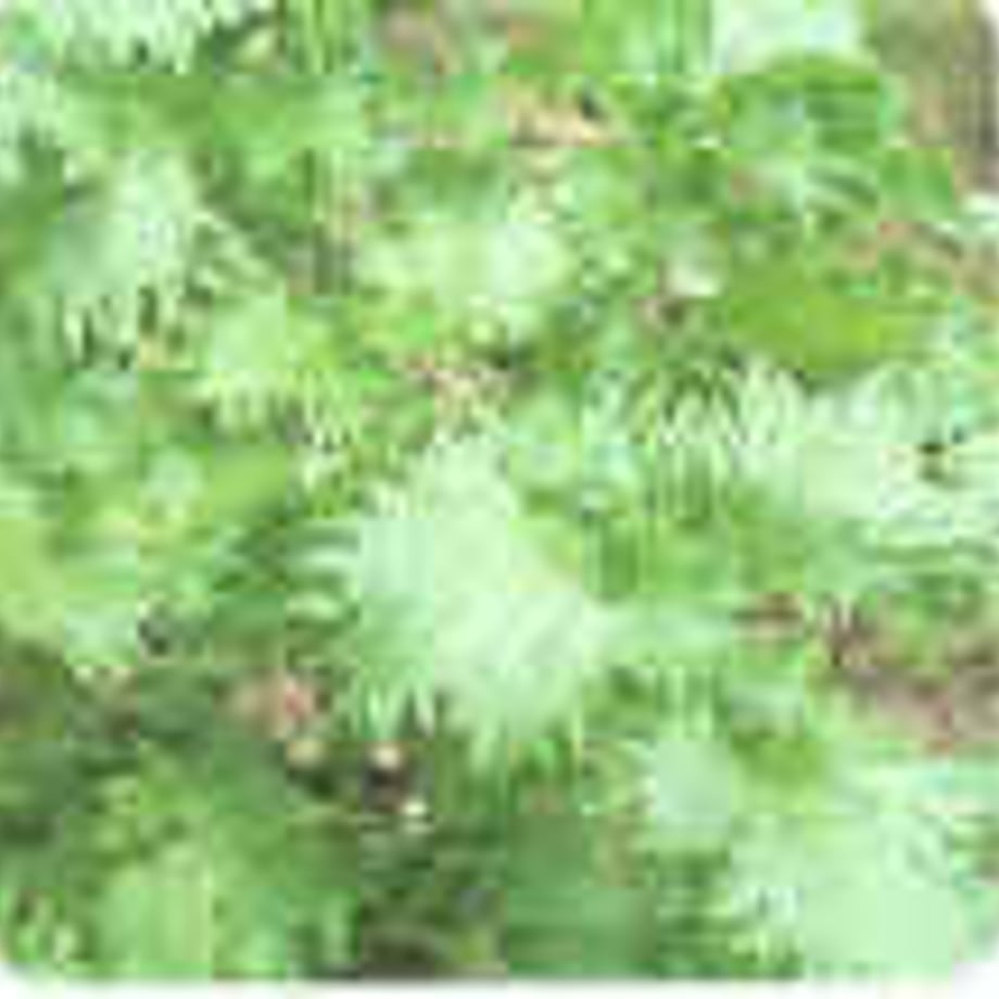 5ab4821b50bbc31e84002a9b