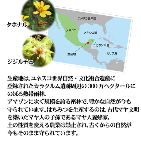 オーガニック蜂蜜180g3種食べ比べセット（メキシコ／ブルガリア／カナダ）