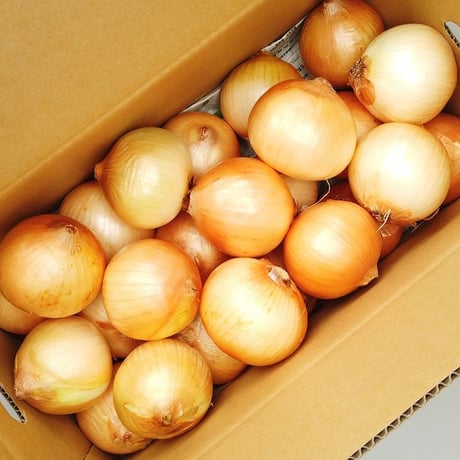 【予約販売】有機JAS 新玉ねぎ8kg（S～Lサイズ）（長崎県 百笑会）【産直便】【ばあちゃんの料理教室お墨付き！】