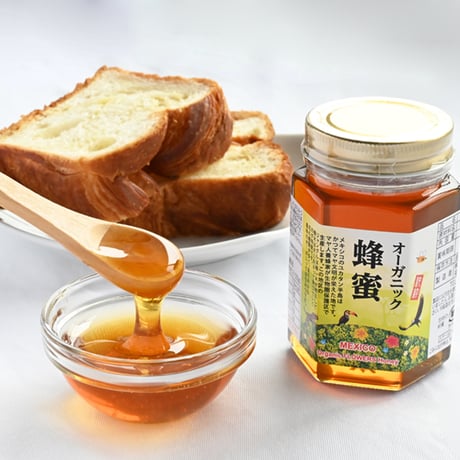 マヤ文明 | STORES