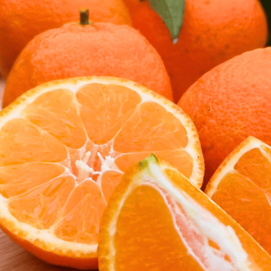 国産クレメンティンの予約注文