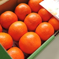 【完売御礼】山口柑橘園さんの国産オログロス（クレメンティン早生）2kg（佐賀県太良町産）【代引不可】