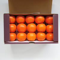 【完売御礼】山口柑橘園さんの国産クレメンティン2kg（佐賀県太良町産）【産直便】【代引不可】