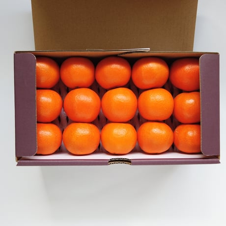 【完売御礼】山口柑橘園さんの国産クレメンティン2kg（佐賀県太良町産）【産直便】【代引不可】