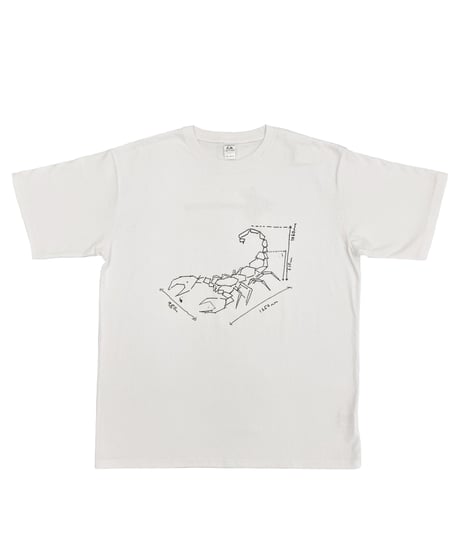 ARRAN GREGORY ”Scorpion Dimensions S/S  T WHITE"