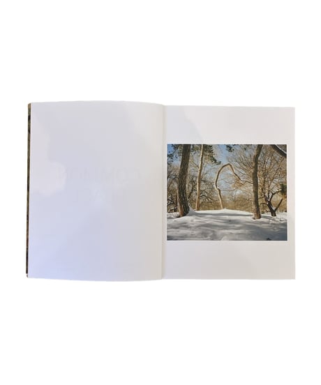 Scott Rossi "Common Place"