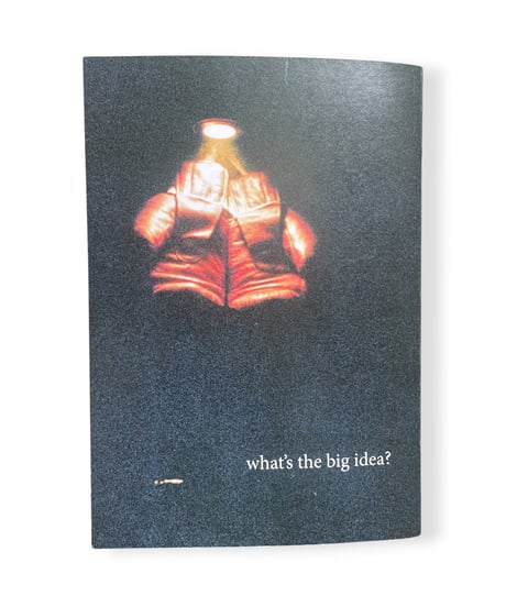 Josh Sabini “what’s the big idea?”