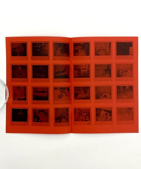 Dash Snow "Selected Works From 2001 To 2009"