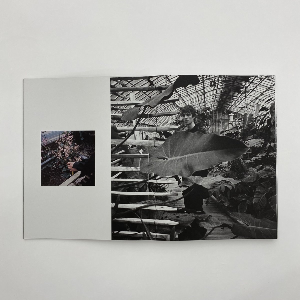 A Magazine curated by Lucie & Luke Meier | SALT