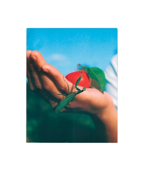 Pomegranate press“Playfulness Group Book”