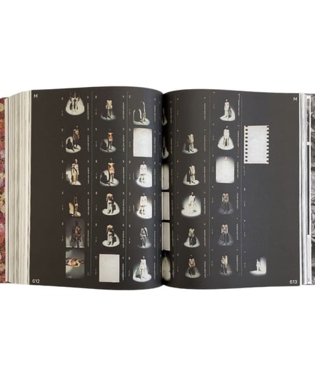 Marleen Daniëls "SARAJEVO TO PARIS"