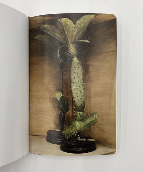 Michaël Borremans "THE DUCK"