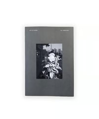 Sly Morikawa "City of Roses"