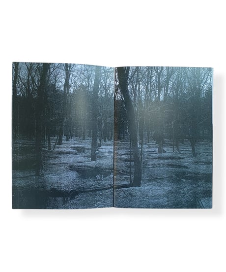 Yves Suter "Landscapes as well"