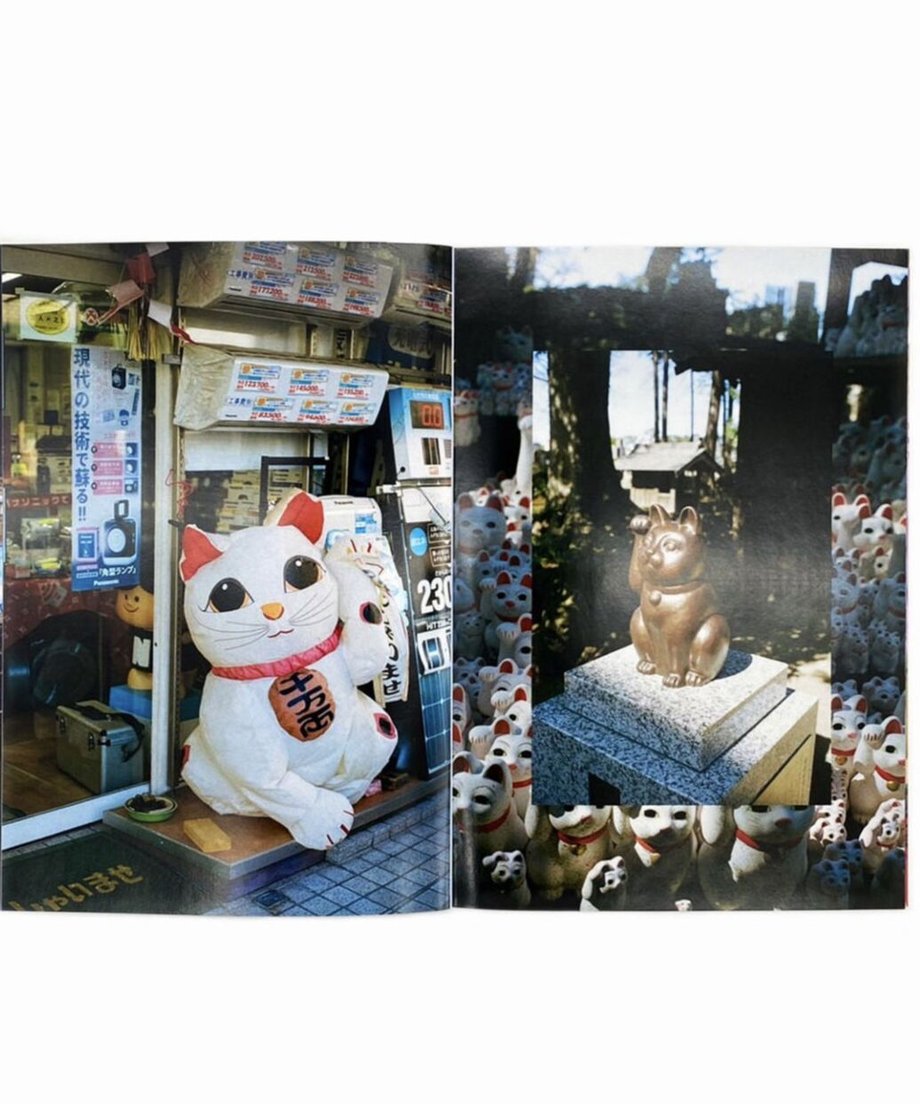 616ce4cd54ddd86f2499cd2e