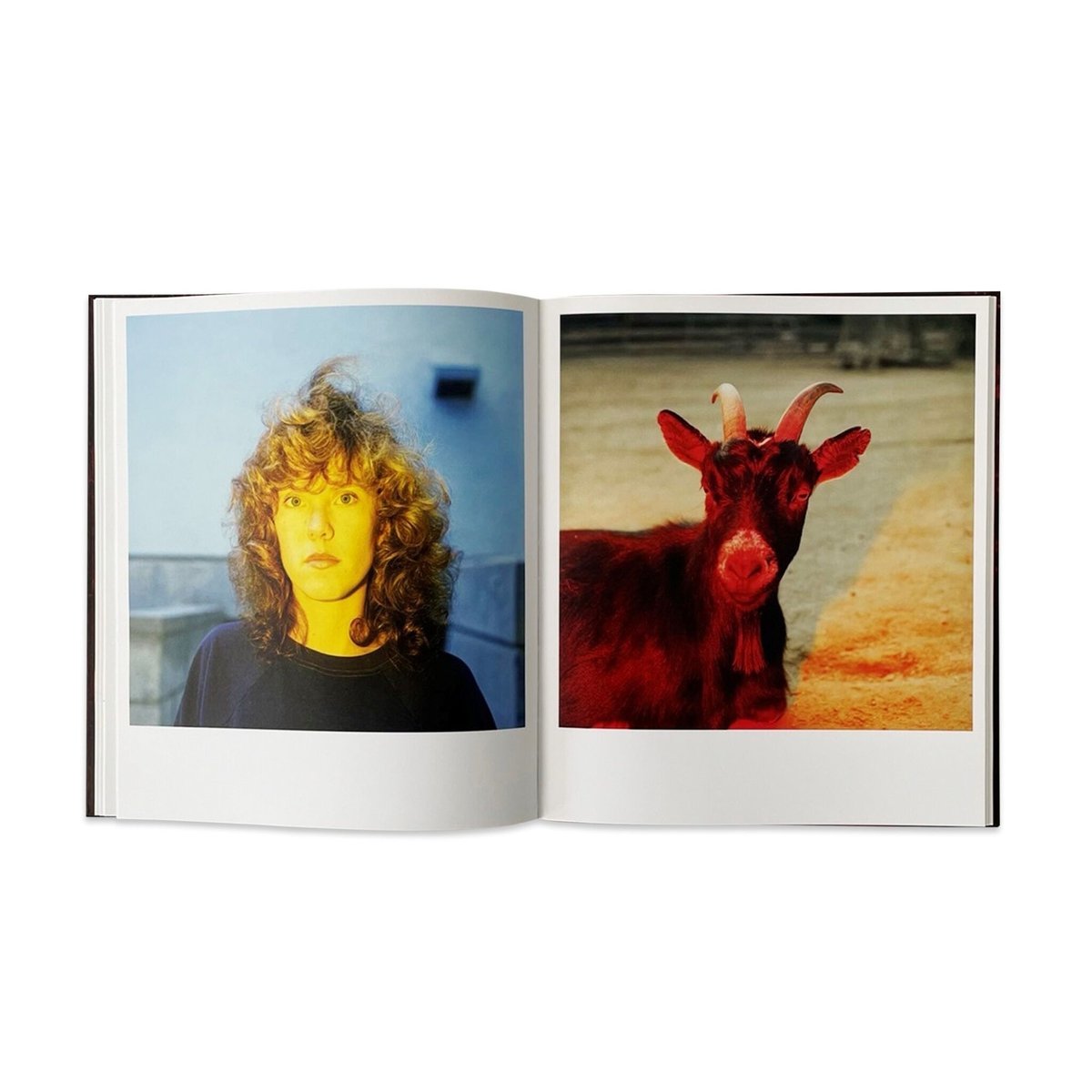 John Divola “CHROMA” | SALT AND PEPPER