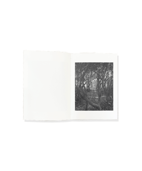 Daniel Rampulla “WILD PLACE”