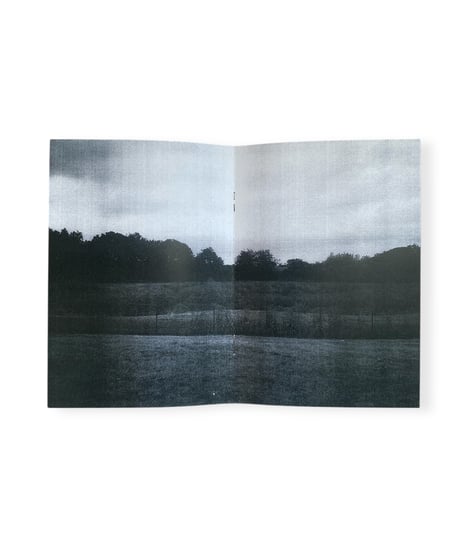 Yves Suter "Landscapes as well"
