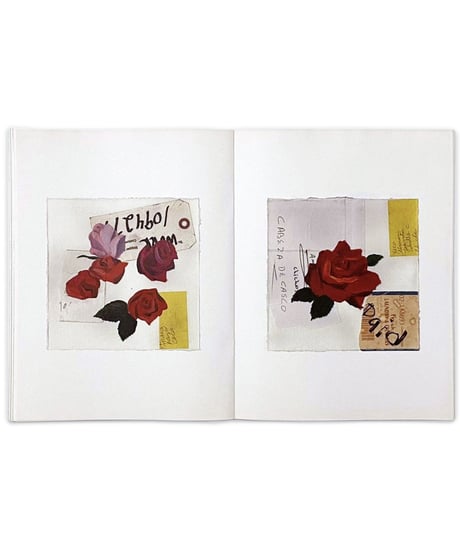 Koji Yamaguchi “Roses”
