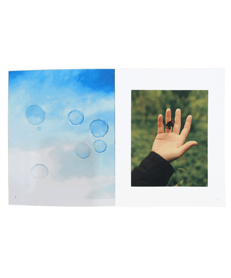 Pomegranate press“Playfulness Group Book”
