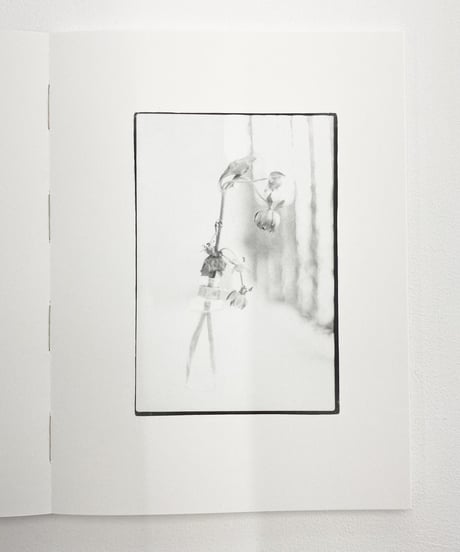 Shono Inoue " õ "