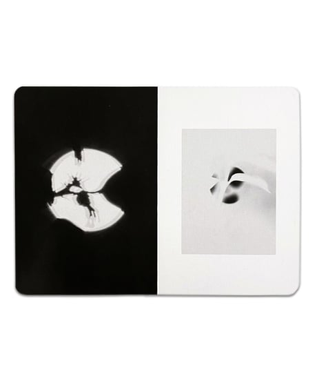 New Tendebcy Books -Geordie Wood