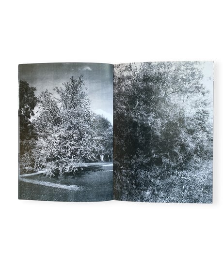 Yves Suter "Landscapes as well"