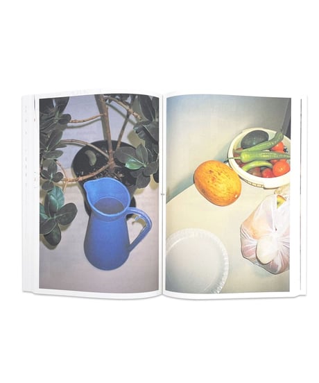 OpStap, Vincen Beeckman, Colin Pantall, Lien Van Leemput "BIRDS OF A FEATHER"
