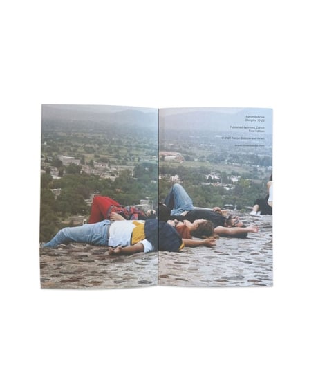 Aaron Bobrow "Shingles 10-20"