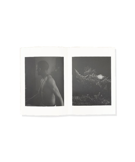 Daniel Rampulla “WILD PLACE”