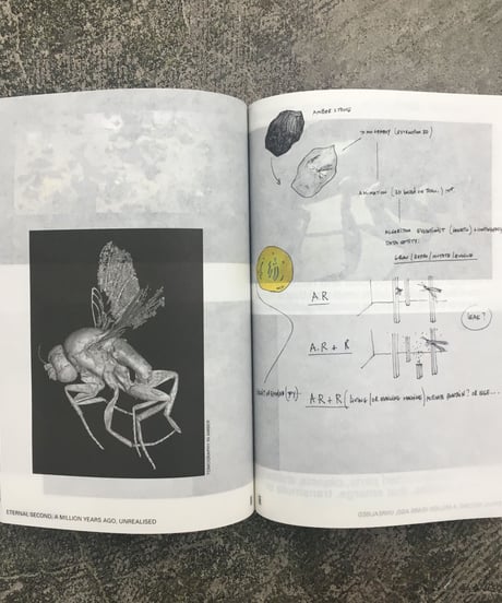 Pierre Huyge "WERKE / WORKS 2009-2019"