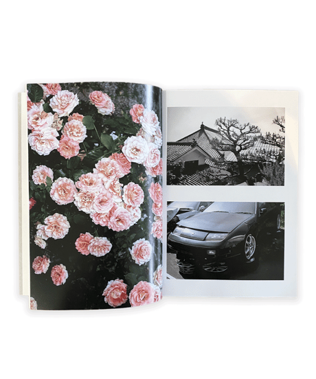 Sly Morikawa "City of Roses"