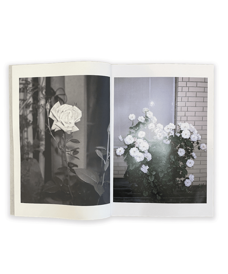 植樹マン「いのちの森の使者」 植樹マン「いのちの森の使者」 Sly Morikawa