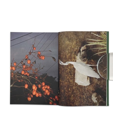 Koji Kitagawa "Photography"