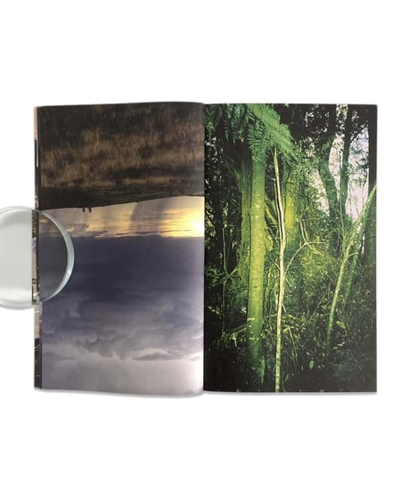 Peter Sutherland & Misha Hollenbach "Distancing"