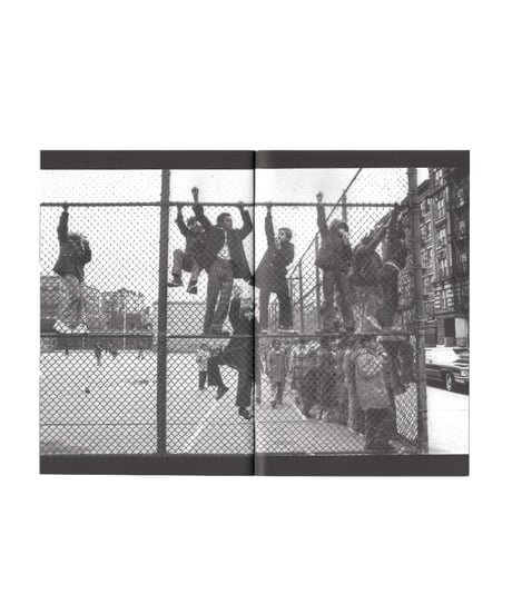 Flo Fox "Ironic Reality"