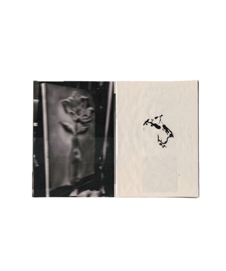 Hibiki Yogi "tentative title"