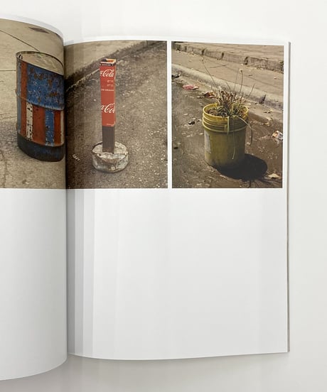 Juan Brenner "The Ravine, The Virgin, & The Spring"