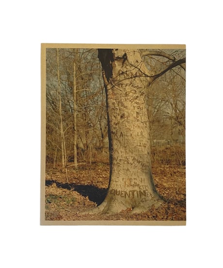 Scott Rossi "Common Place"