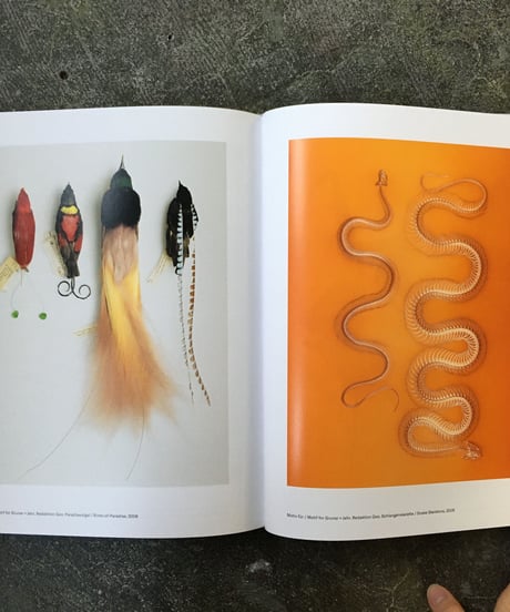 Hans Hansen “STILL LIFE-PHOTOGRAPHS 1957-2017”