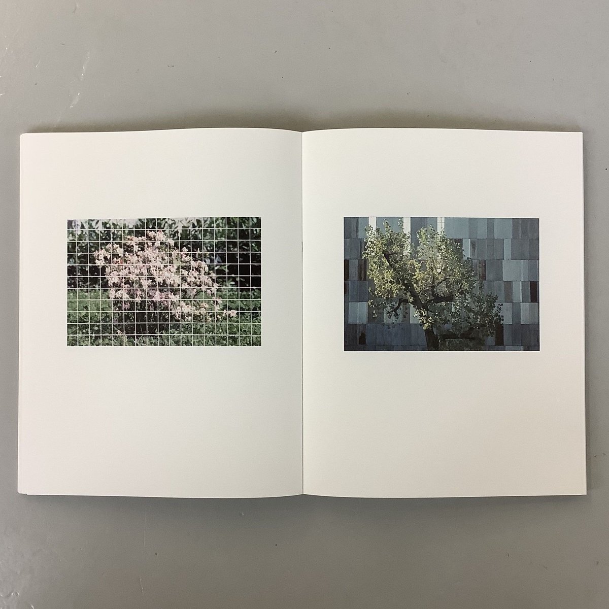 Luigi Ghirri 