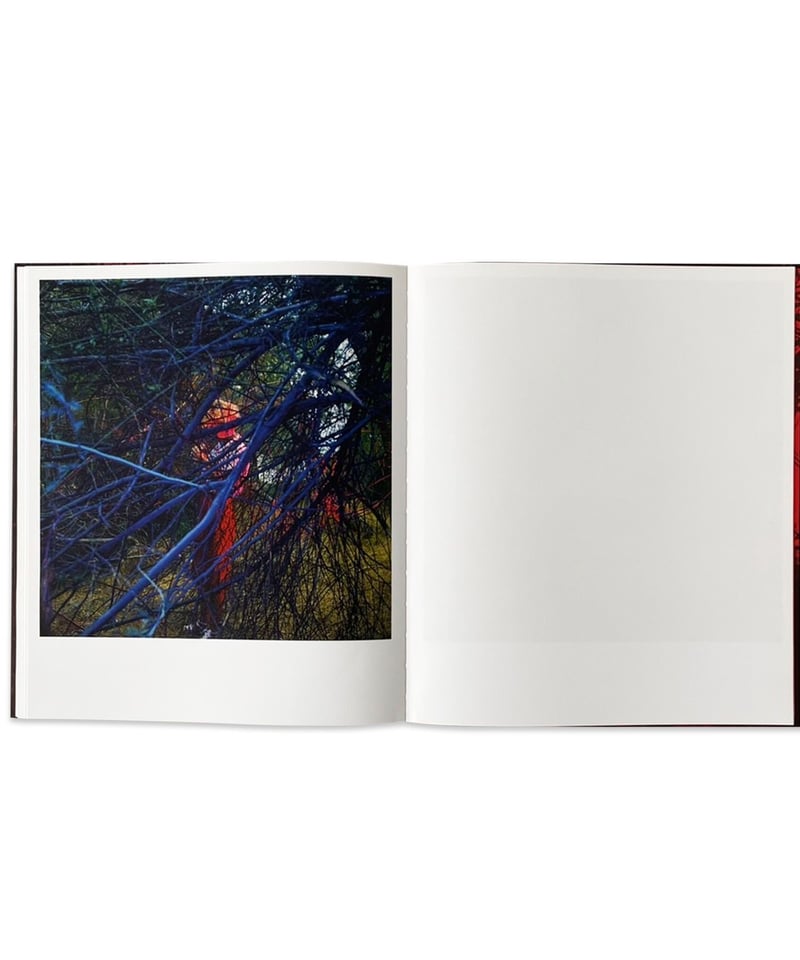 John Divola “CHROMA” | SALT AND PEPPER