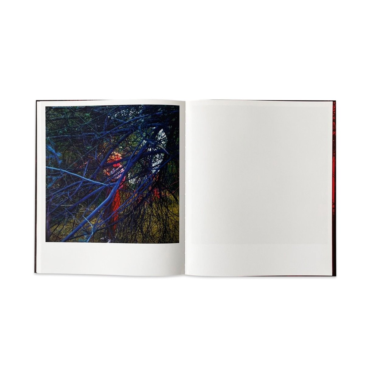 John Divola “CHROMA” | SALT AND PEPPER