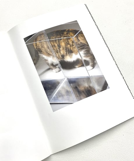 Pierre Le Hors "Byways & Through Lines"