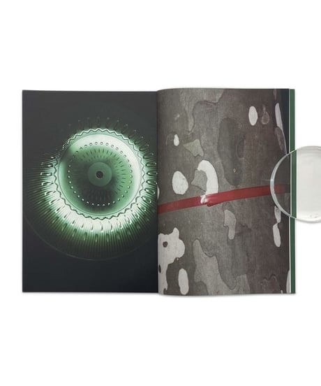 Koji Kitagawa "Photography"