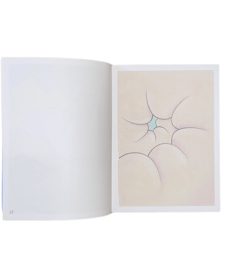 Julien Meert"MÉTÉORISMES"