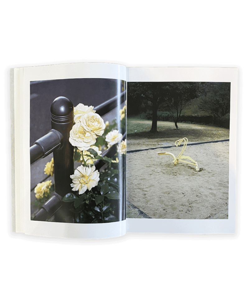 植樹マン「いのちの森の使者」 植樹マン「いのちの森の使者」 Sly Morikawa